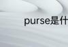 purse是什么意思复数音标