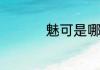 魅可是哪个国家的牌子