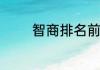 智商排名前十的小狗有什么