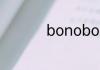 bonobo男装什么档次