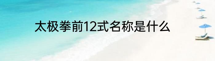 太极拳前12式名称是什么