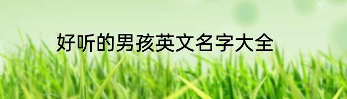 好听的男孩英文名字大全