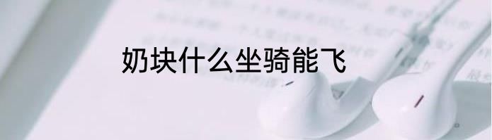 奶块什么坐骑能飞