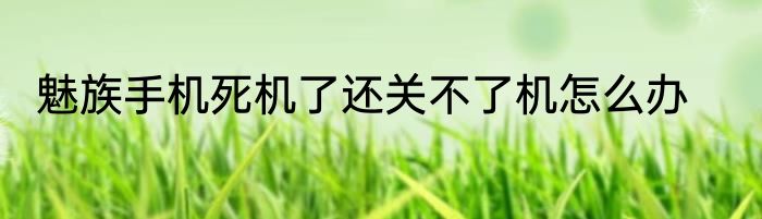 魅族手机死机了还关不了机怎么办
