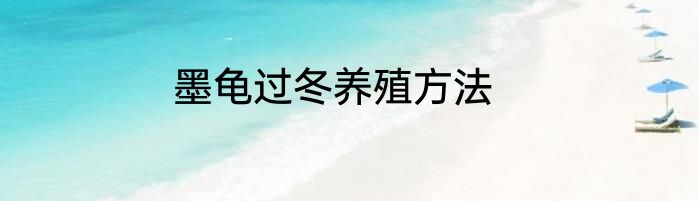 墨龟过冬养殖方法