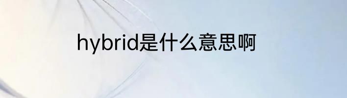 hybrid是什么意思啊