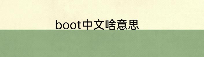 boot中文啥意思