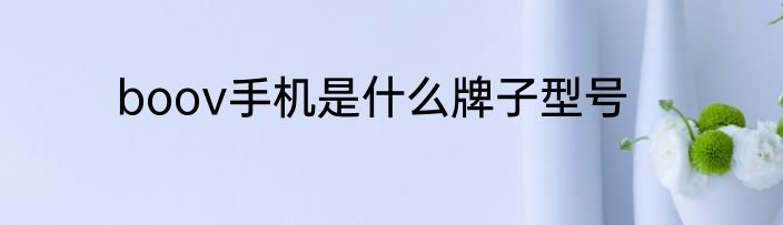 boov手机是什么牌子型号