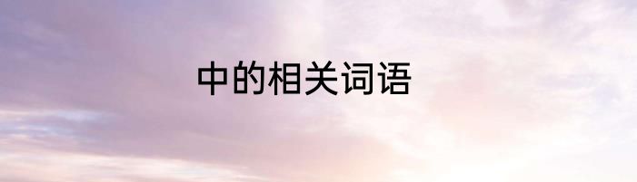 中的相关词语