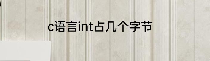 c语言int占几个字节
