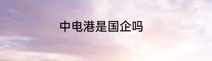 中电港是国企吗