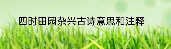 四时田园杂兴古诗意思和注释