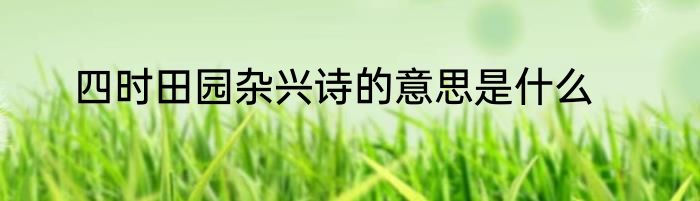四时田园杂兴诗的意思是什么
