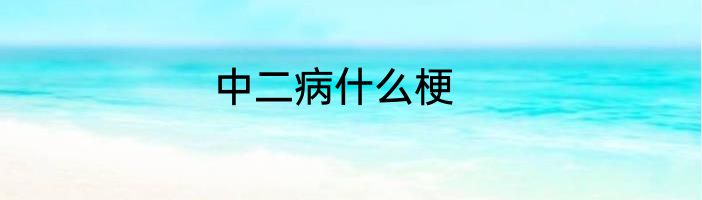 中二病什么梗