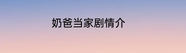 奶爸当家剧情介