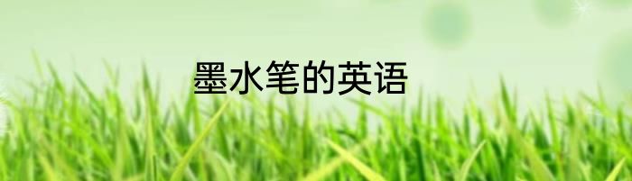 墨水笔的英语