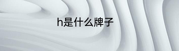 h是什么牌子