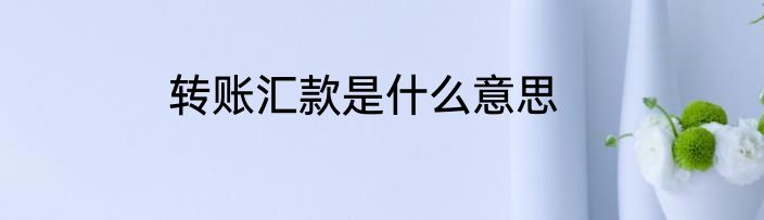 转账汇款是什么意思