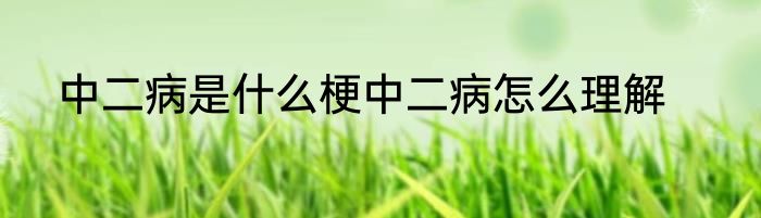 中二病是什么梗中二病怎么理解