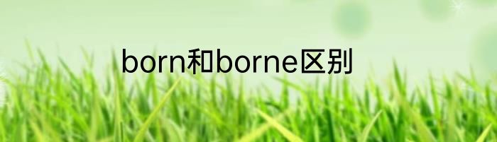 born和borne区别