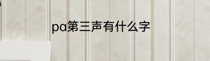 pa第三声有什么字