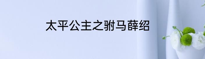 太平公主之驸马薛绍