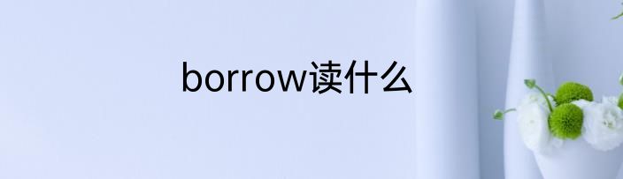 borrow读什么