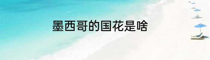 墨西哥的国花是啥