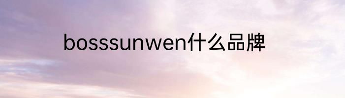 bosssunwen什么品牌