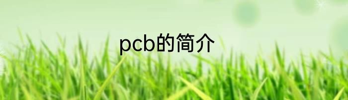 pcb的简介