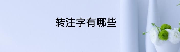 转注字有哪些