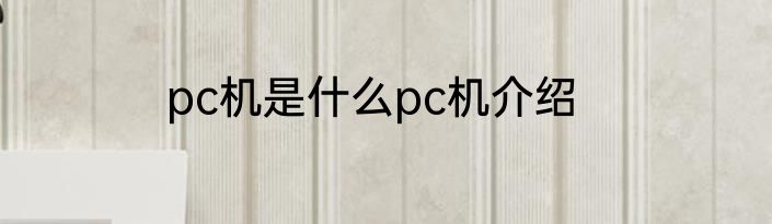 pc机是什么pc机介绍
