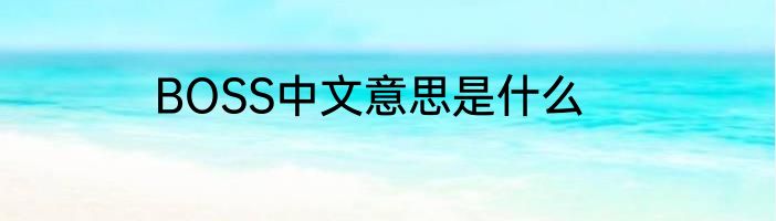 BOSS中文意思是什么