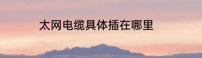 太网电缆具体插在哪里