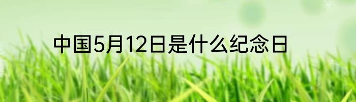 中国5月12日是什么纪念日