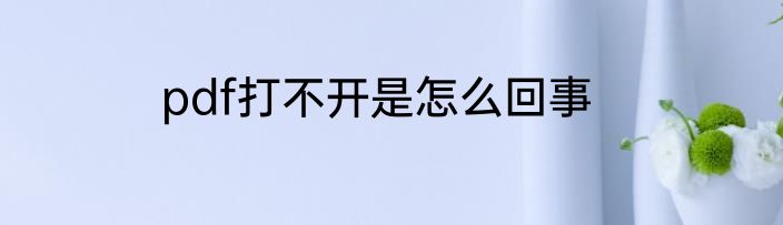 pdf打不开是怎么回事