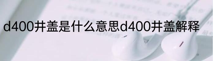 d400井盖是什么意思d400井盖解释