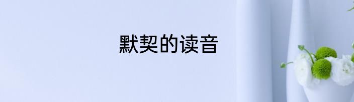 默契的读音