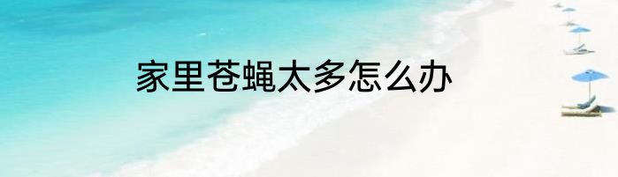 家里苍蝇太多怎么办