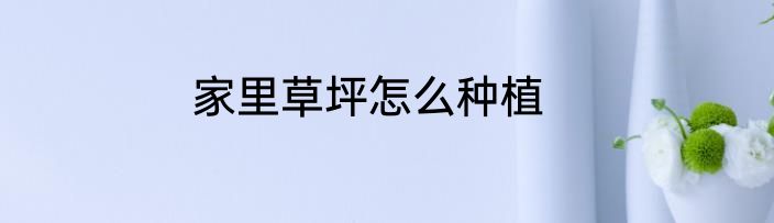 家里草坪怎么种植