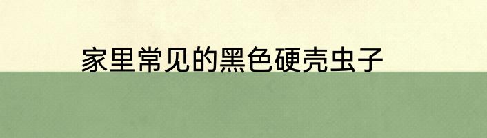 家里常见的黑色硬壳虫子