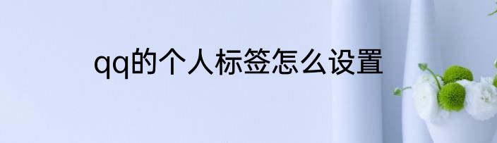 qq的个人标签怎么设置