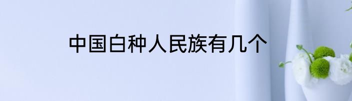 中国白种人民族有几个