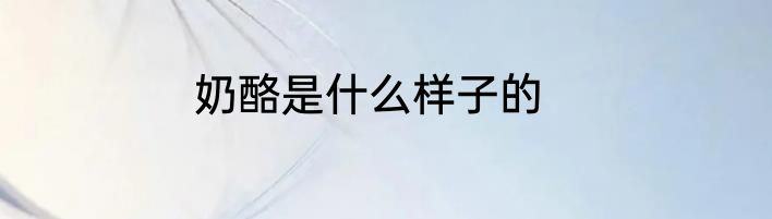 奶酪是什么样子的
