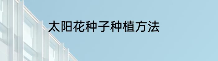 太阳花种子种植方法
