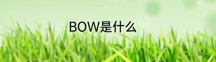 BOW是什么