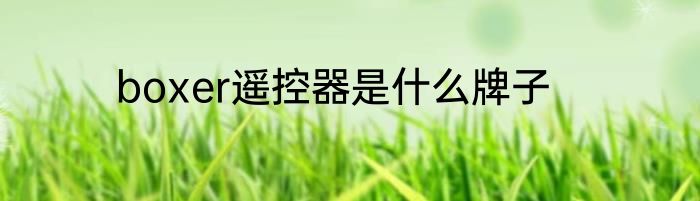 boxer遥控器是什么牌子