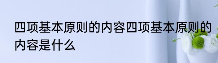 四项基本原则的内容四项基本原则的内容是什么