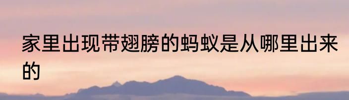 家里出现带翅膀的蚂蚁是从哪里出来的