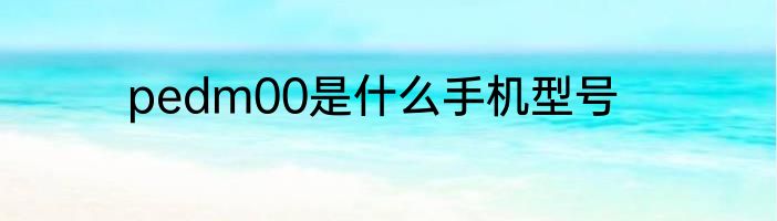 pedm00是什么手机型号